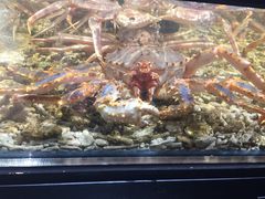 -盒马鲜生(曜一城店)