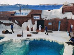 -秦皇岛乐岛海洋王国