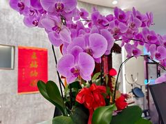 -大脚丫·足浴·SPA(前埔店)