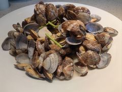 -船歌·鱼水饺青岛菜(金狮广场店)