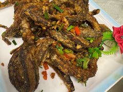 -台山美食一绝阿四台山黄鳝饭(阿四创作店)