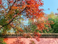 -大雁塔北广场音乐喷泉