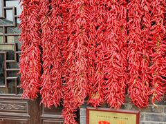 -兰陵国家农业公园