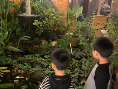 -园林美食城·本土农家菜(杨和镇店)