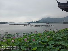 -茗醉园茶楼