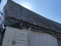 -烟墩角天鹅湖