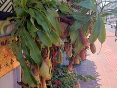 -常熟路(地铁站)