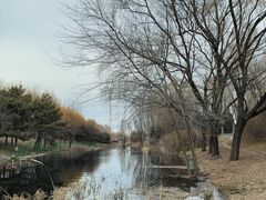 -大望京公园