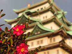 景点-名古屋城