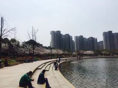 -新江湾城公园