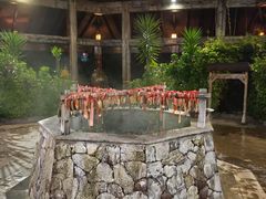 -韶关经律论国际酒店温泉