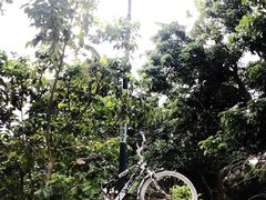 -同心泥烩鸡