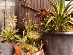 -北马山庄植趣咖啡