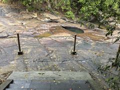 -广州白江湖森林公园