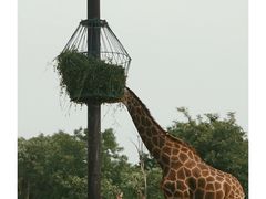 -济南野生动物世界