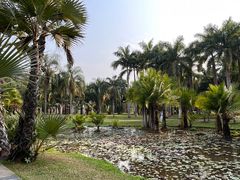 -中国科学院西双版纳热带植物园