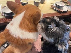 -绿茶餐厅(成都大悦城店)