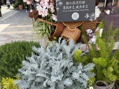 -比斯特上海购物村精品奥特莱斯