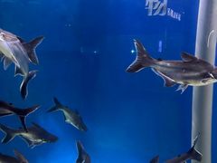 -福州罗源湾海洋世界旅游区