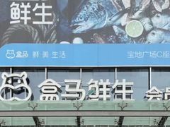 -盒马鲜生(宝地店)