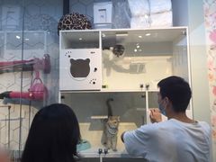 -萌兽医馆·眼科·异宠专科(三里屯店)