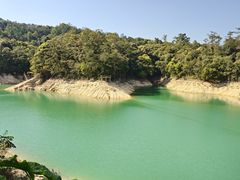 -广州市流溪河国家森林公园