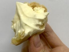 冰激凌口感-吴记·吴酥生PASTRY宫廷酥饼