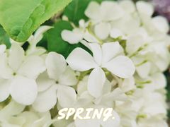 -大龙山(地铁站)