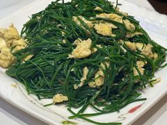 -靖远尕六美味羊羔肉