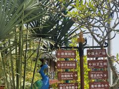 -西双版纳傣族园