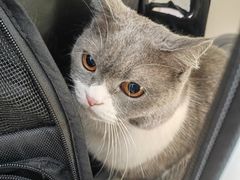-宠颐生·都会宠物医院