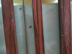 -钟方模白家肥肠粉(春熙店)
