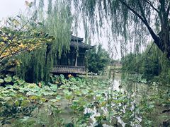 -韩湘水博园