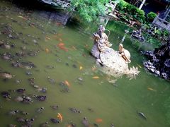 放生池-国恩寺