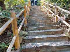 -北京西山国家森林公园