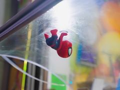 -老炳·七丛松甘草水果