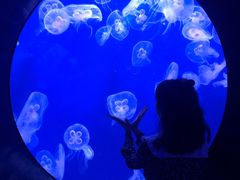 -成都浩海立方海洋公园