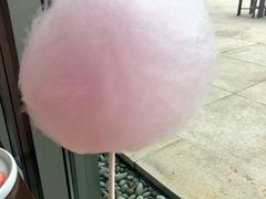 -苏州洲际酒店·大堂酒廊