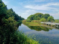 -贡湖湾湿地公园