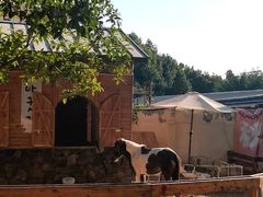 -HERRE·FARM 赫尔露营农场·团建聚会包场