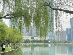 -天鹅湖体育公园