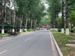 -清华大学-观畴园餐厅