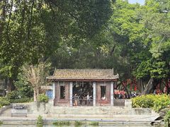 -荔湾湖公园