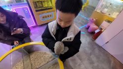 点击看大图 -神奇动物撸宠馆·羊驼·小浣熊·异宠(豫园店)