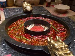 -蜀大侠火锅(建设路第五大道店)