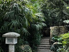 -广州兰圃