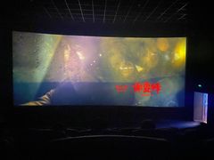 -幸福蓝海国际影城(河西店)