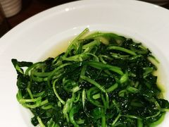 -金枝玉叶上海人家食府(三里河店)