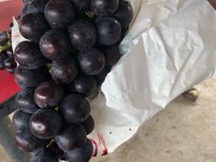 -马陆小张葡萄园农家乐