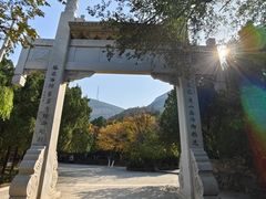 -佛慧山